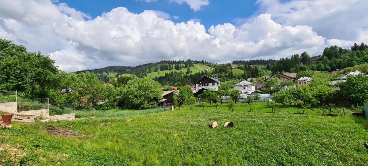 Pensiunea Beatrice Ватра-Дорней Экстерьер фото